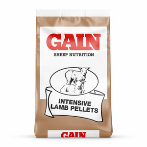 GAIN Intensive Lamb Creep Pellets 25kg