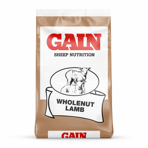 GAIN Wholenut Lamb 25kg