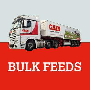 GAIN Barley Beef Blend 14% Bulk Tipped