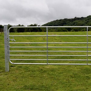 Gibney D8 Galvanised Medium Sheep Gate 14ft