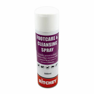 Ritchey Footcare & Cleansing Spray 500ml