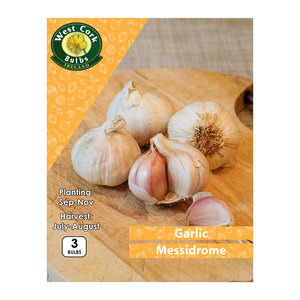 Garlic Messidrome 3 Bulbs White Garlic