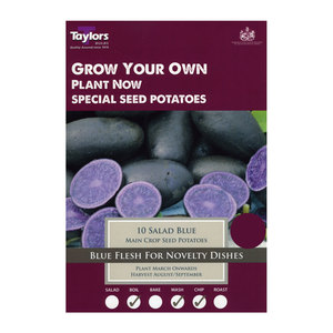Main Crop Salad Blue Seed Potatoes 10 Pack