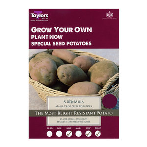 Sarpo Mira Seed Potatoes 8 Pack