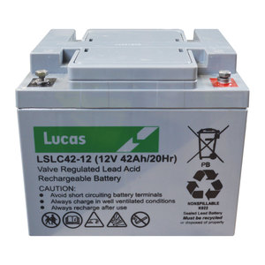 Lucas Rechargeable Battery for Milk Kart