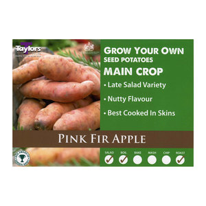 Taylors Pink Fir Apple Seed Potatoes 2kg