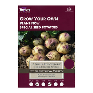 Purple Eyed Seedling Second Early Seed Potatoes 10 Pack