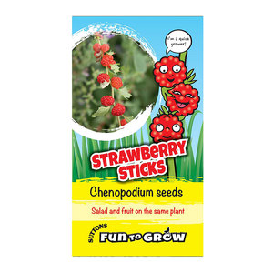 Suttons Seed Fun To Grow Strawberry Sticks