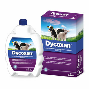 Dycoxan 1L