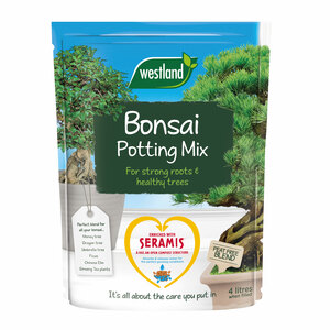 Westland Bonsai Potting Mix Peat Free 4L