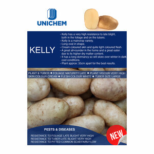 Potatoes Kelly Maincrop Variety