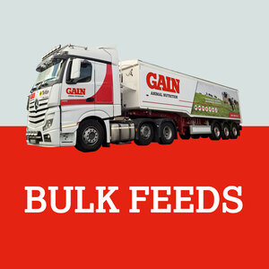 GAIN Complete Beef Nuts 25kg