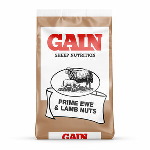 GAIN Prime Ewe and Lamb Nut 25kg