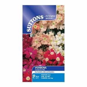 Suttons Seed Verbena Candycane Mix