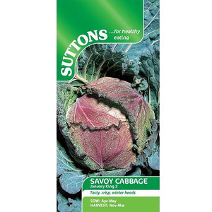 Suttons Seed Savoy Cabbage January King 3