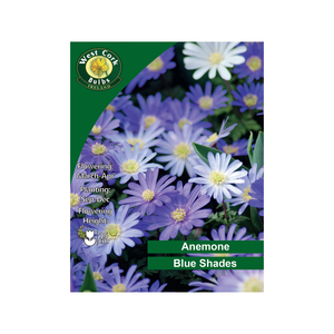 Amenone Blue Shade Flowers 100 Bulbs
