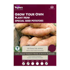 Taylors Pink Fir Apple Seed Potatoes 10 Pack