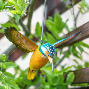 Vida Kingfisher In Flight