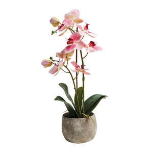 Artificial Potted Orchid 45cm