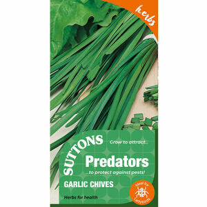 Suttons P & P Garlic Chives